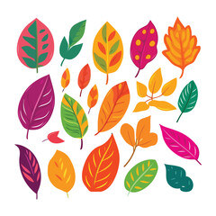 Set of colorful tropical leaves vector illustration isolated on white.