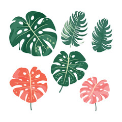 Fototapeta premium Colorful Tropical Monstera leaves cartoon style Vector illustration isolated on white