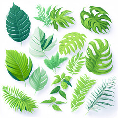 Set of tropical leaves isolated over white, isometric style