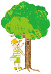 夏休みに大きな木の下で、虫かごをぶら下げて、クワガタムシを捕まえようとしている男の子