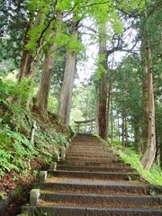 鳥居に続く山道