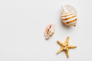 Summer time concept Flat lay composition with beautiful starfish and sea shells on colored table, top view with copy space for text