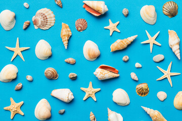 Obraz na płótnie Canvas Summer time concept Flat lay composition with beautiful starfish and sea shells on colored table, top view