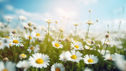 Obraz na płótnie Canvas Beautiful blurred spring floral background nature Generative AI