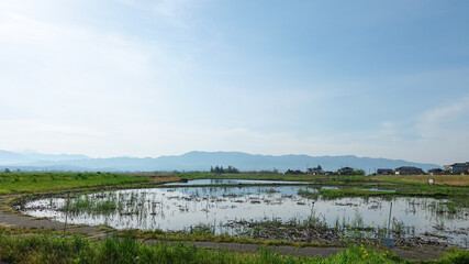 春の朝、晴れ渡った福島潟の水辺（新潟県新潟市）