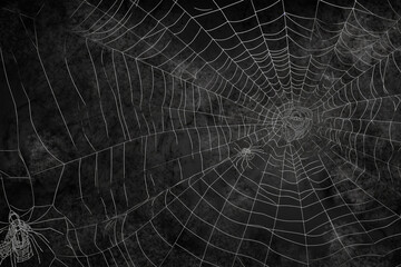 web spiders and spiders on a black chalk board background