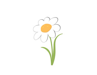 Flat flower (camomile) icon. Nature, parks. Vector