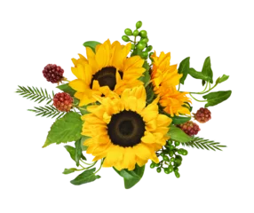 Foto auf Acrylglas Yellow sunflowers, berries and green grass and leavesin a summer arrangement isolated on white or transparent background © Ortis
