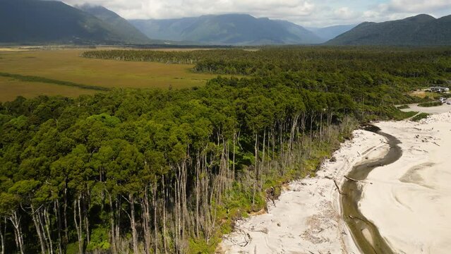 West Coast's coastline, rimu tree forest in New Zealand, aerial