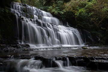 New Zealand waterfall in a forest