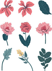 Begonia Flower Set, Watercolor Flower Vector Design Set