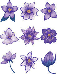 Clematis Flower Set, Watercolor Flower Vector Design Set