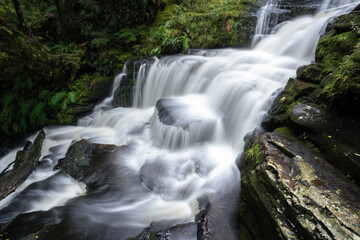 Waterfall in New Zealand forest 