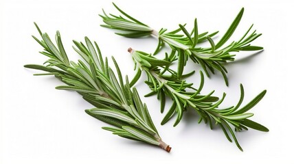 Fototapeta premium Fresh basil rosemary leaves and peper isolated Generative AI