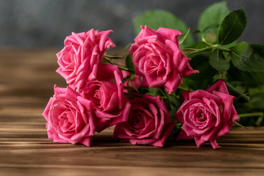 バラの花　室内撮影イメージ
