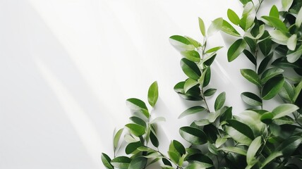 Minimalistic light background with blurred foliage Generative AI