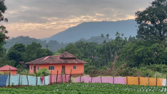 Houses On Isolated Tropical Nature Landscape With Farmland Near Cotigao, Netravali, South Goa, India. Wide Shot