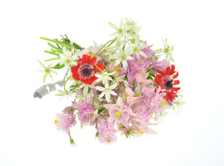 A bouquet of wild flowers: red, pink and white on a white background.