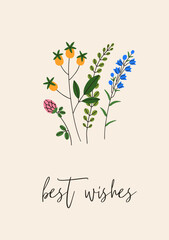 Floral botanical postcard, blooming flowers and best wishes. Greeting card, gentle delicate meadow wildflowers, blossomed plants, summer herbs in minimal style. Flat vector illustration
