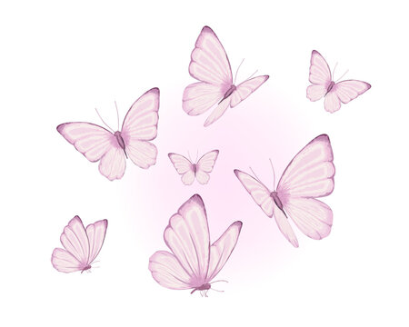 pink watercolor pastel pink butterfly design hand drawn