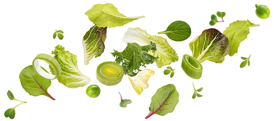 Falling salad leaves isolated on white background with clipping path