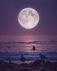 Surfer's Moon  - Ocean Landscape with Bright Super Moon and Seagulls Watching