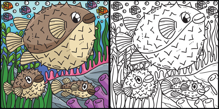 Mother Pufferfish and Baby Pufferfish Illustration