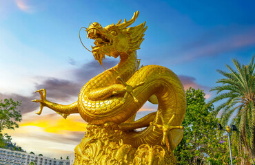 Golden dragon in old phuket town phuket Thailand this dragon is on the middle of a big water pond...