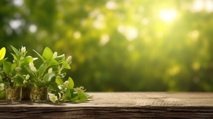 Fototapeta na wymiar Frühlingshaftes Design mit grünen Blättern auf Holzbrett