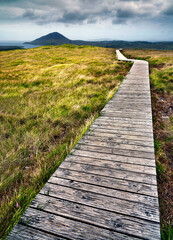 Pasarela en Connemara