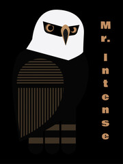 Hawk-eagle Mr. Intense black background	