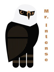Hawk-eagle Mr. Intense - no background	