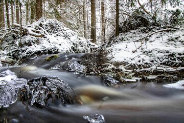Fototapeta na wymiar Stream flowing through beautiful white winter forest in Sweden, long exposure
