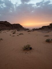 Fototapeta na wymiar Wadi Rum desert view at sunsert