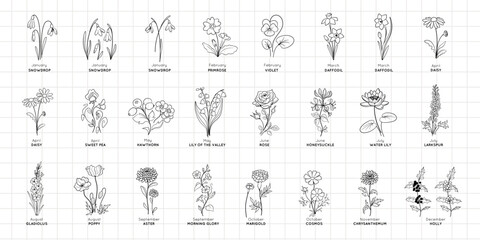 Fototapeta na wymiar Birth month flowers simple design bundle. Minimal summer spring decoration. Silhouette vector flat illustration. Cutting file. Suitable for cutting software. Cricut, Silhouette