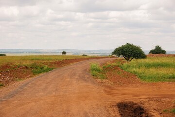 Fototapeta na wymiar An empty dirt road against sky in Nairobi National Park, Kenya
