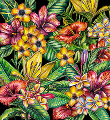 Pattern with a beautiful composition with exotic flowers and leaves. Watercolor drawing of plants on a black background.
