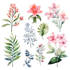 Fototapeta premium Set of tropical floral watecolor. tropical flower, tropical leaves. tropical poster, invitation floral. Vector arrangements for greeting card or invitation design