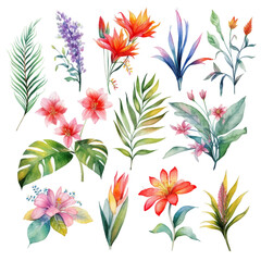 Set of tropical floral watecolor. tropical flower, tropical leaves. tropical poster, invitation floral. Vector arrangements for greeting card or invitation design