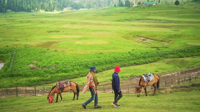 Group of travelers hiking and riding horses on lush green Himalayan Mountains in India, slow motion