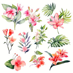 Set of tropical floral watecolor. tropical flower, tropical leaves. tropical poster, invitation floral. Vector arrangements for greeting card or invitation design