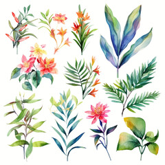 Set of tropical floral watecolor. tropical flower, tropical leaves. tropical poster, invitation floral. Vector arrangements for greeting card or invitation design