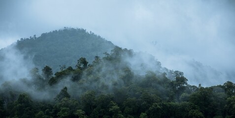 Scenic aerial shot of a cloud mist covering the mountains and forests