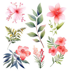 Fototapeta premium Set of tropical floral watecolor. tropical flower, tropical leaves. tropical poster, invitation floral. Vector arrangements for greeting card or invitation design