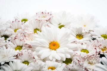 Obraz premium Vivid summer flower frame layout with text space, copy space. Wedding concept, Birthday concept, Congratulations concept. Women's Day, Mother's Day, Valentine's Day. Generative AI.