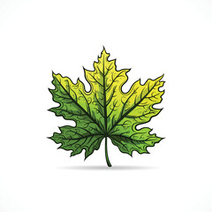 Leaf Vector Leaf Logo design