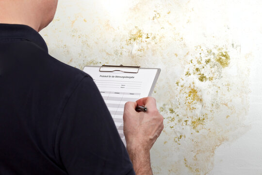 High humidity damage concept: man with a GERMAN inspection checklist in front of a white wall overgrown with mould, mildew or fungus.