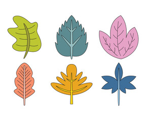 autumn leaf set vector illustration