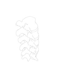 Vector illustration spine diagnostic symbol, design, sign. Vector icon. Line design. Spine bones and structure. Medicine and anatomy. Anatomical structure of man. Concept illustration..