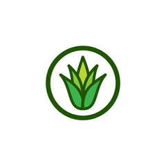 Aloe Vera Icon or Aloe Vera Sign Vector Isolated in Flat Style. Best Aloe Vera icon for product packaging design element. Simple Aloe Vera sign for packaging design element.